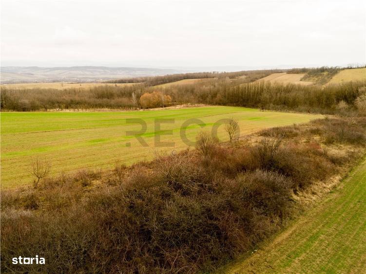 RECO Teren intravilan in Ceica Bihor - 5