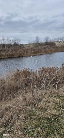 Teren extravilan plus luciu de apa - 6