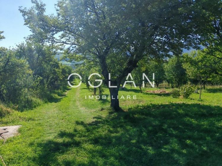 Terenul pe care se cladeste visul tau - Tocile, Sibiu - 11