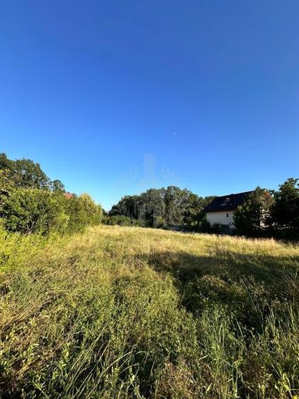 TEREN INTRAVILAN //GAGENI//PAULESTI - 7