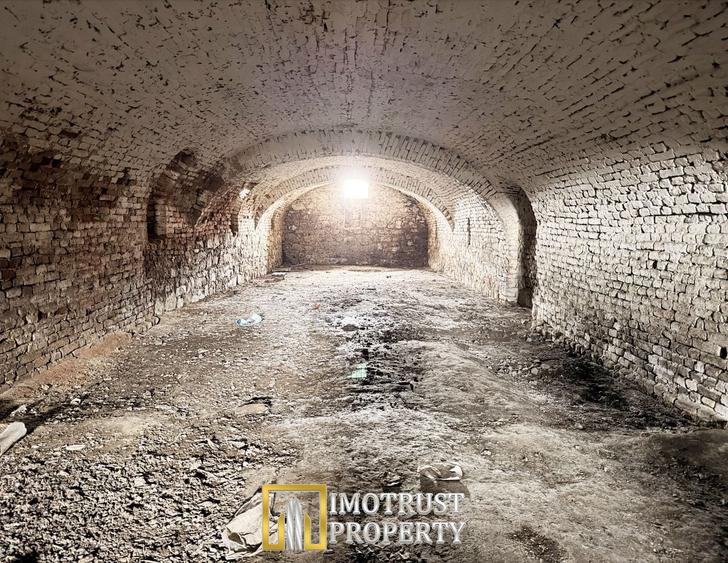 Castel istoric de vânzare în Conop | proprietatea lui Cicio Pop - 6