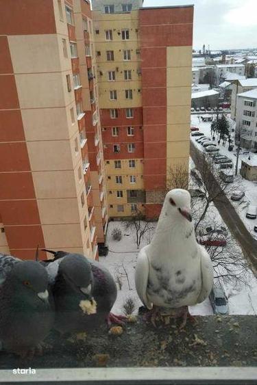 Inchiriez apartament 4 camere, Bl H4, B-dul Traian - 2