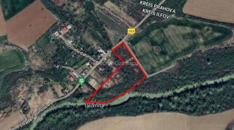 Vanzare teren Ciolpani Luparie Vanzare teren Ciolpani Luparie
