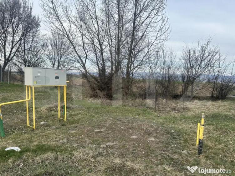 ???? Teren intravilan 32.000 mp pozi?ie strategica la - 5