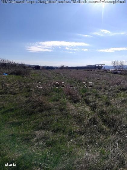 Teren intravilan industrial, iesire Pacurari, zona reprezentanta Skoda - 2