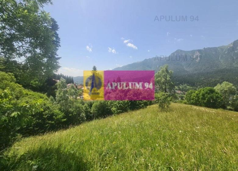 Teren de v&acirc;nzare &icirc;n Bușteni - Zona Zamora - 14