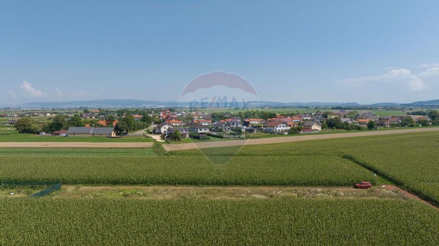 Teren de 1100 mp de vanzare in Stupini - 4