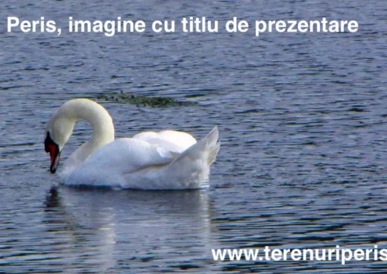 Terenuri IN RATE 500 /luna, teren 25 langa Saftica, Balotesti - 8