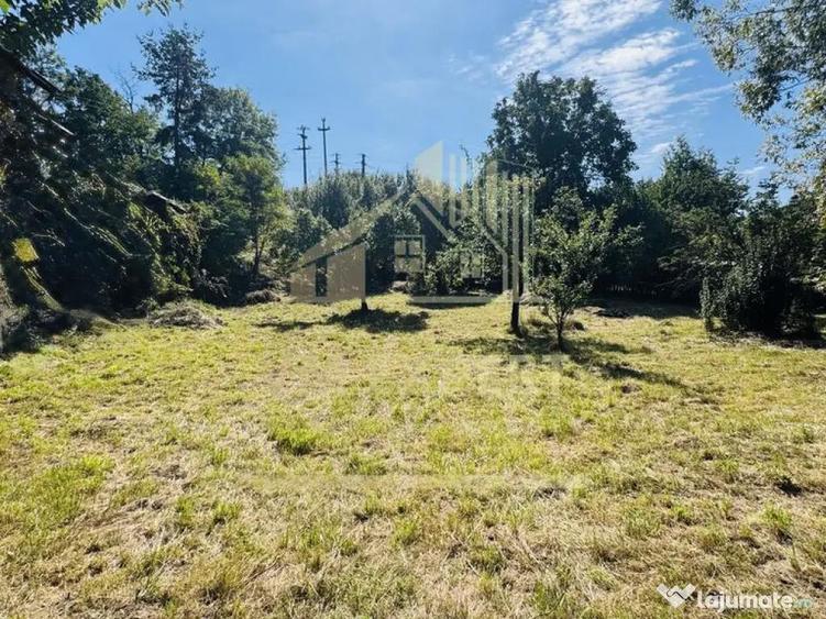 TEREN INTRAVILAN 3234 MP LERE?TI VOINE?TI ARGE? - 10