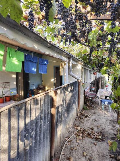 Casa de vanzare in Chilia Veche, Tulcea - 4