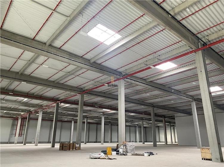 Spatiu Industrial - 5000 mp - Logistica - Productie - Depozitare - Distributie - 1