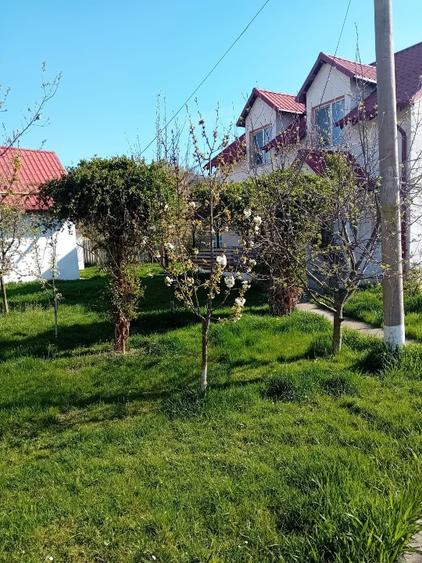 Vilă de vânzare  - 6