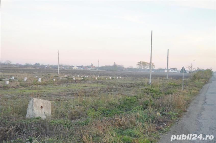 Teren cu utilitati in apropiere de autostrada A1 - 6