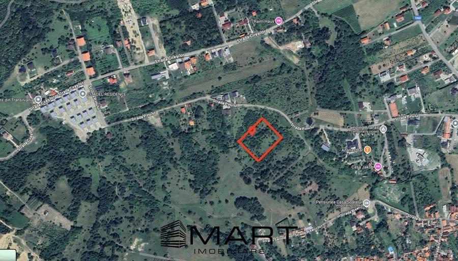 Teren intravilan 5000mp cu PUZ aprobat, CU si utilitati in Cisnadioara - 2