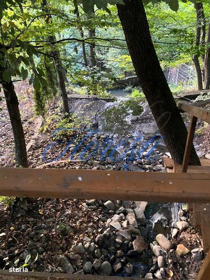 Casa SU 400 mp, teren 3000 mp, Faget - 9