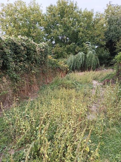 Potigrafu, Crivina - 8