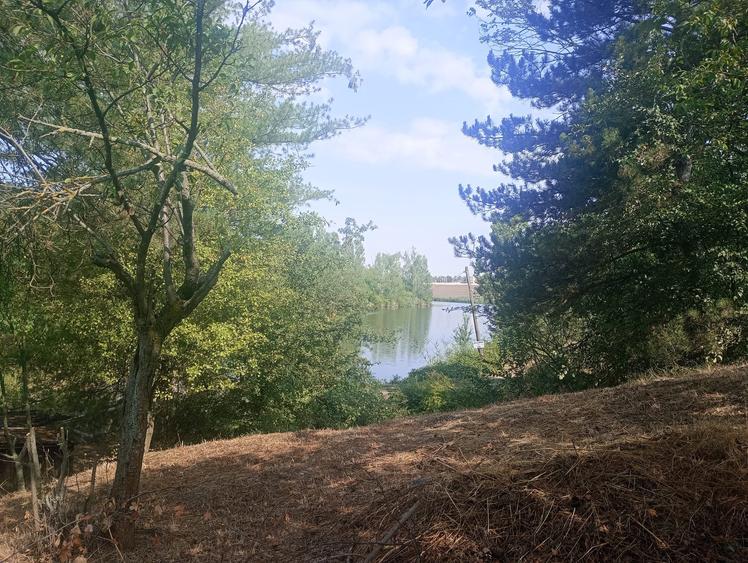 Teren superb  1100mp lac Găneasa - 4