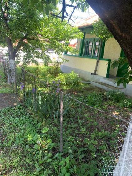 Teren intravilan de vanzare, PUCHENII MARI, 1970 mp - 3