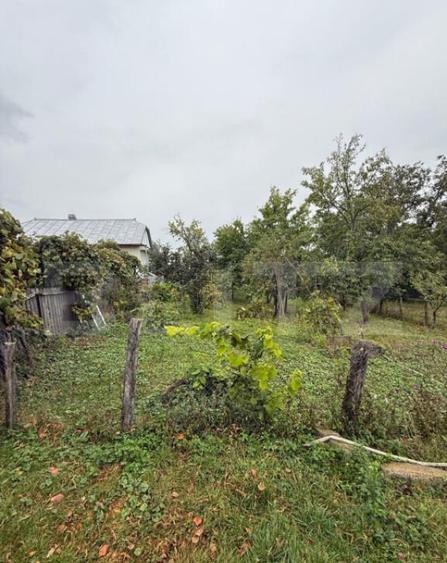 Casa batraneasca, 65 mp si teren intravilan 5600 mp, Adancat - 4