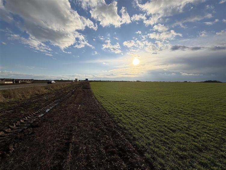 TEREN INTRAVILAN 24457 MP | 80 ML FRONT STRADAL | ORADEA | BIHOR - 5