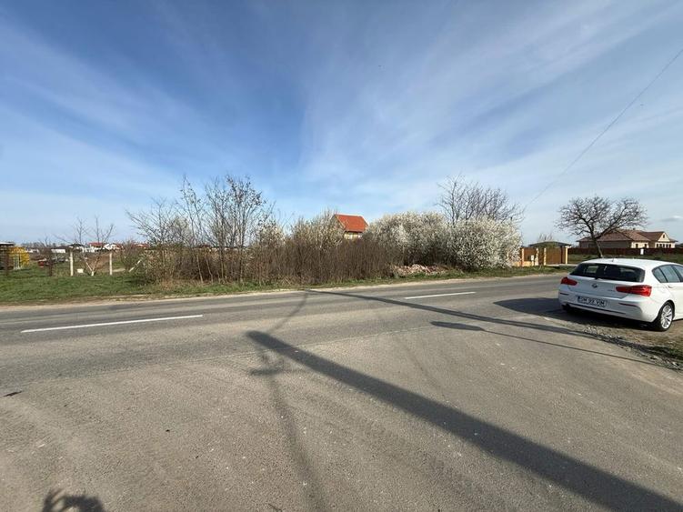 Ofer Teren intravilan 86 Arii spre vanzare la intrare in Vetis - 4
