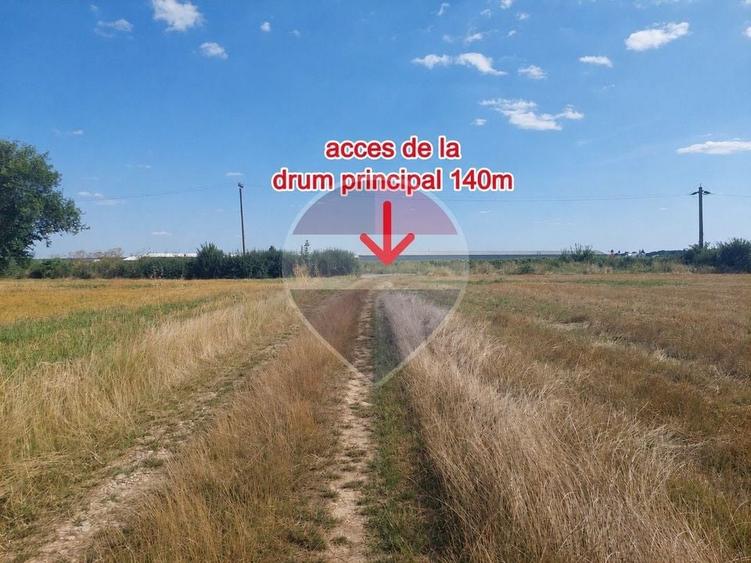 Teren Construcții intravilan de 1312 mp, în Ciolpani