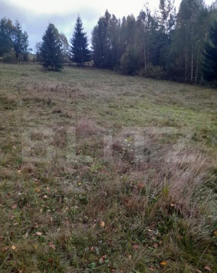 Teren intravilan de vanzare, 2280 mp, Vatra Dornei - 2