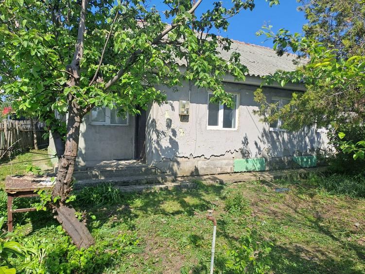 Casa de vanzare in satul Stejaru - 4