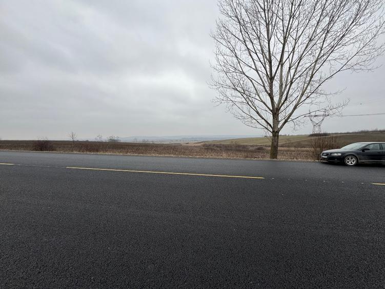 Vand teren la E85 Bacau-Roman - 1