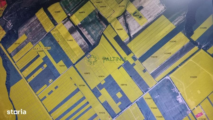 Teren intravilan 550 mp Sibiu, Cisnadie - Aeroport Magura - 2