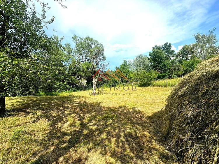 Teren 2037 mp, 17 ml deschidere, 28 euro/m2, vedere panoramica - 6