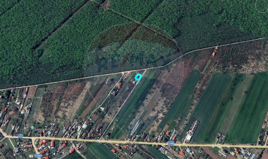 Teren intravilan, 450mp, Gruiu/Ilfov - 6