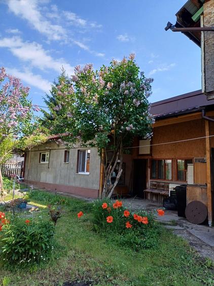 Vand casa ,zona Intre Lacuri Cluj - 5