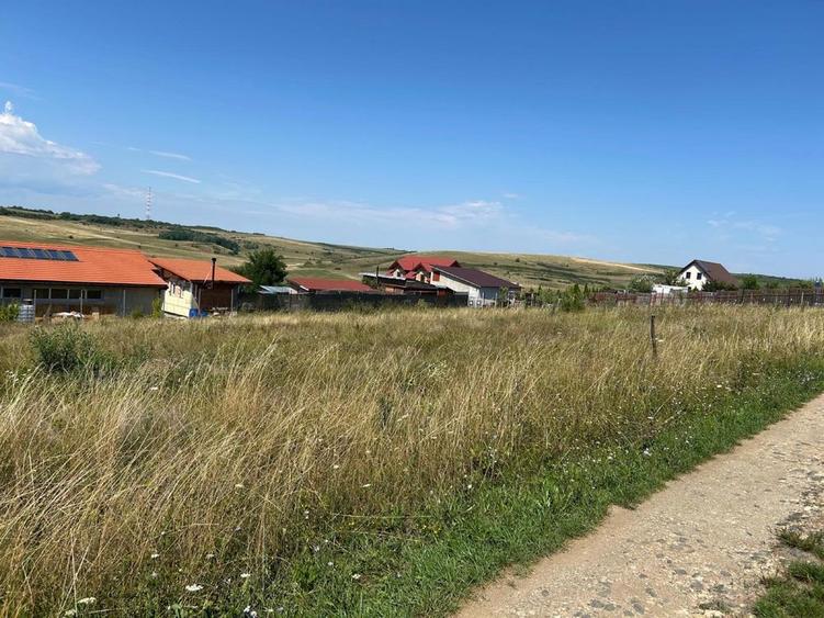 Teren de vanzare marginimea Sibiului - 3