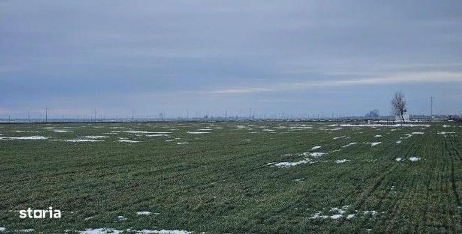 Teren extravilan Dragalina, cota parte 1/2, ID: R2992764 - 6