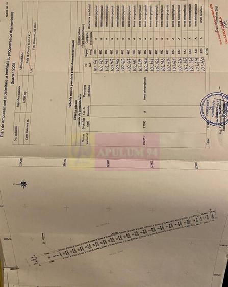 Teren Domnesti 12300 mp de vanzare sau asociere - 7