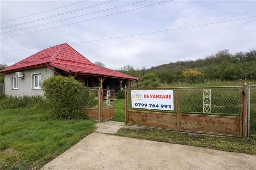 Film&3D! Proprietate cu potential:casa, atelier,domeniu de 2.700 mp:Sanmarghita, - 1