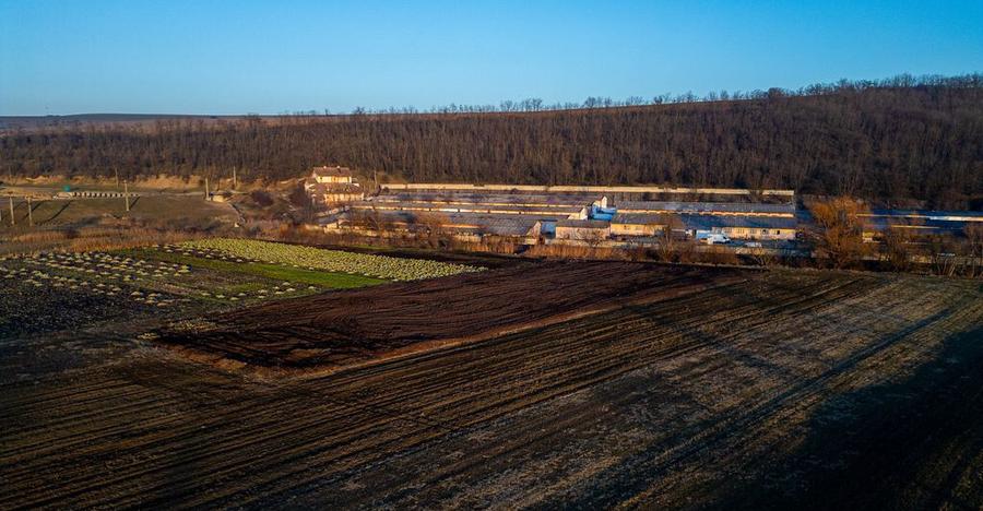 Fosta Ferma a Partidului de la Horgesti - de vanzare - 12