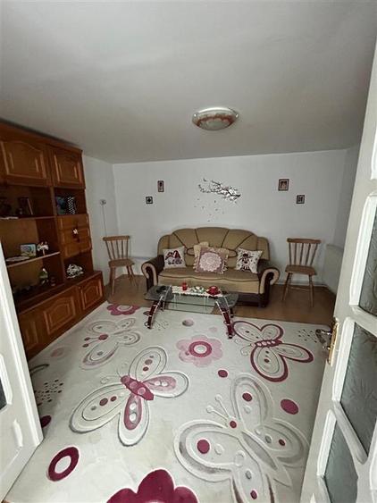 Casa Renovata, Mobilata-utilata, Brailita, Teren - 405 mp - 5