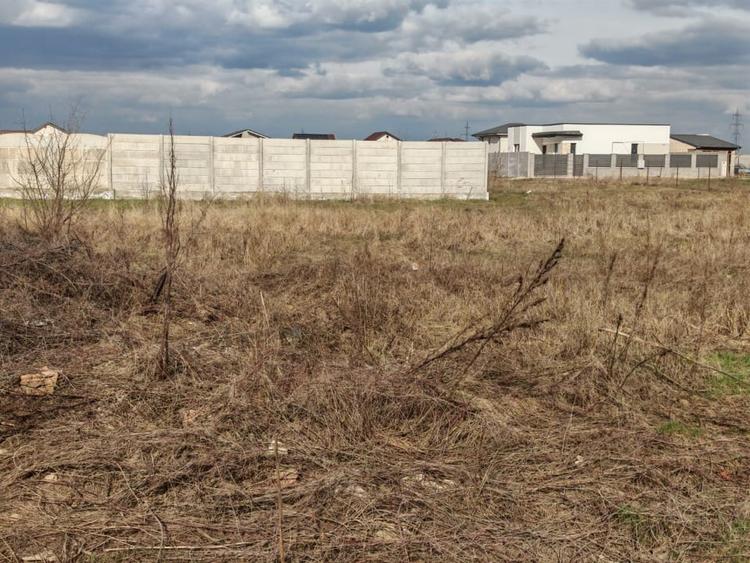 Comuna Berceni-Ciresilor-teren dezvoltare imobiliara - 9