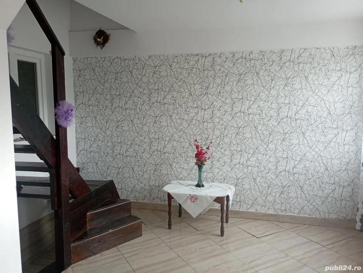 Vind casa locuibila,com.Grajduri sat.Valia Satului Iasi.Pre? 65000 euro neg. - 1