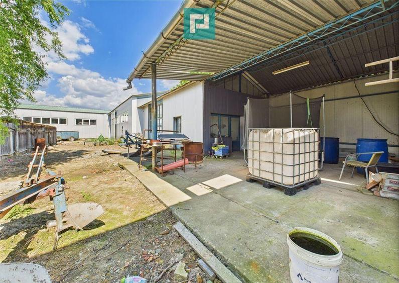 Cladire cu 5 camere cu teren ?i hala in Cenad - 15