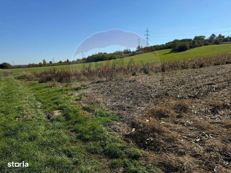 1.500 eur/ar - TEREN INTRAVILAN in Lapusel - 1