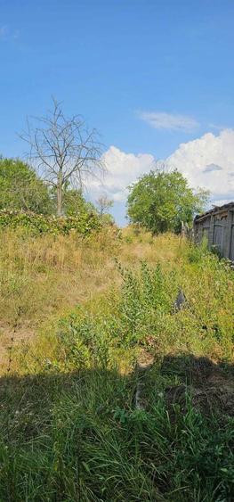 Casa cu pamant de vanzare Sat Cosdeni Com. Pomezeu Jud Bihor - 1