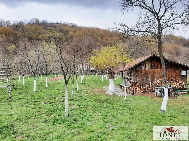 Vanzare teren 4544 mp in Almasu Mare - 1