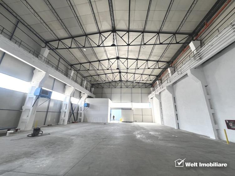 Hala depozitare sau productie 570mp, 2 rampe, Someseni - Aeroport - 2