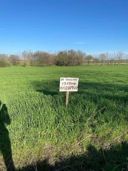 teren intravilan de vanzare 1500mp in Visini - 9