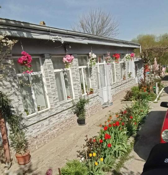 Casa caramida-30km distanta de bucuresti dn5 - 4