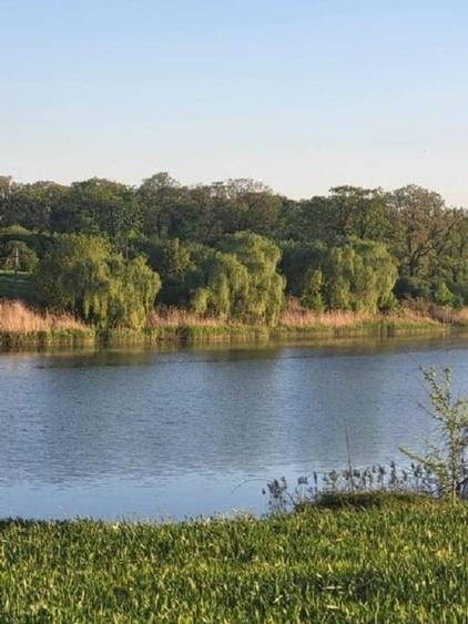 Teren 520mp, pe str. "Trei Lacuri", 90E/mp - 10