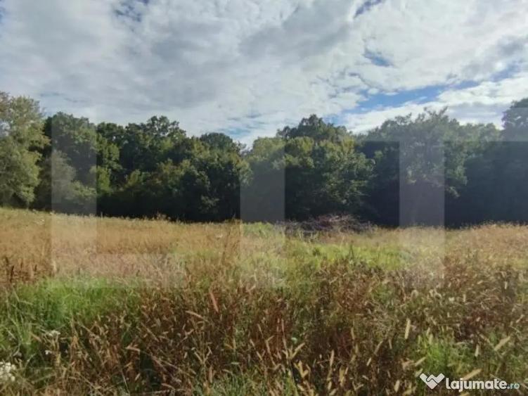 Teren intravilan, 1150 mp, Drumul Sf. Ion, Faget - 6